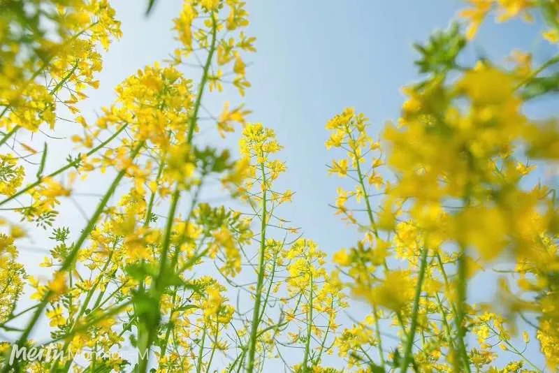 640.webp (2).jpg 640.webp (2).jpg